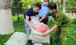 Ngăn chặn 2 tạ nội tạng trâu bò bốc mùi hôi thối đang chuẩn bị 'lên mâm'