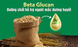 Beta Glucan: Dưỡng chất hỗ trợ người đái tháo đường