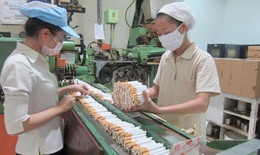 80 triệu tấn carbon dioxide thải ra môi trường mỗi năm từ quá trình sản xuất thuốc lá