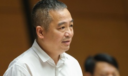 ĐBQH Nguyễn Lân Hiếu: Không thể vì một số vi phạm mà chúng ta để cả hệ thống tê liệt