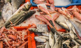 Ăn quá nhiều cá có thể tăng nguy cơ bị ung thư da?