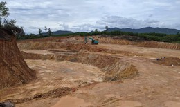 Một doanh nghiệp bị xử phạt vì lấn chiếm hàng nghìn m2 đất rừng sản xuất