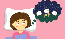 Nguyên nhân gây mất ngủ kéo dài và cách hỗ trợ bằng thảo dược