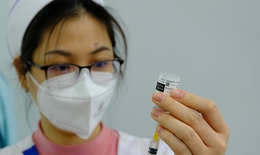 Khẩn trương tiếp nhận vaccine COVID-19 được phân bổ để tiêm mũi 3, mũi 4, tiêm cho trẻ từ 5 - dưới 12 tuổi
