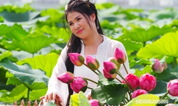 Bì bõm lội nước 'thả dáng' với sen Hồ Tây