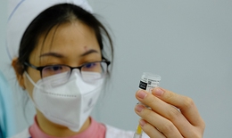 Nóng: Bộ Y tế hướng dẫn mới nhất về đối tượng tiêm, liều lượng, loại vaccine phòng COVID-19 