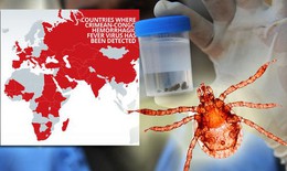 Nga t&#236;m ra chủng bệnh sốt xuất huyết Crimean-Congo mới nguy hiểm