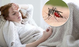 Sốt rét 'nhập khẩu' có đáng lo?