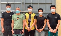 Lái ô tô từ Hòa Bình vào Hà Tĩnh trộm cây duối hơn 100 tuổi