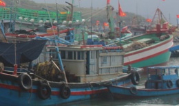 Vì sao 19 tàu cá ở Khánh Hòa bị đưa vào diện mất tích?