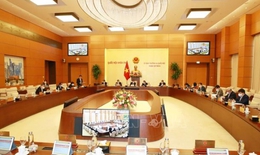 Sáng nay, Ủy ban Thường vụ Quốc hội họp Phiên thứ 13