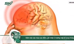 Bệnh viêm não virus vào mùa cao điểm, ghi nhận 3 trường hợp tử vong