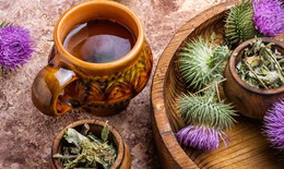 6 thảo dược hỗ trợ ngăn ngừa loãng xương