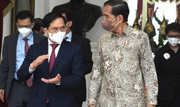 Việt Nam - Indonesia: Phấn đấu đưa kim ngạch song phương lên 15 tỷ USD vào năm 2028