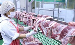 Giá thịt lợn tăng cao, Phó Thủ tướng chỉ đạo thực hiện các biện pháp bình ổn