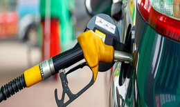 Giá xăng dầu giảm sâu, cước vận tải thế nào? 