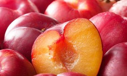 Quả mận không chỉ giúp giải nhiệt mà còn tốt cho tim mạch, xương khớp