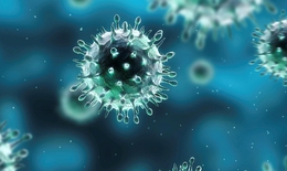 Các loại cúm thường gặp: Triệu chứng và những điều cần biết