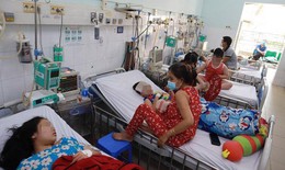 Đã có 16 ca tử vong do sốt xuất huyết ở TP.HCM, nhiều nhất ở Củ Chi