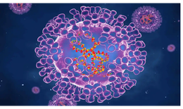 Bệnh đậu mùa khỉ: Con đường lây truyền và biện pháp có thể ngăn ngừa nhiễm virus