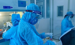 Ngày 31/7: Có 1.477 ca COVID-19 mới, số F0 nặng tăng lên