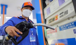 Trình UBTVQH Nghị quyết giảm thuế bảo vệ môi trường đối với xăng, dầu