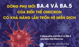 Hà Nội, TP HCM đã có ca COVID-19 nhiễm biến thể phụ BA.4, BA.5: Các chuyên gia khuyến cáo gì?