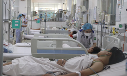 Số ca sốt xuất huyết ở TP.HCM có xu hướng giảm