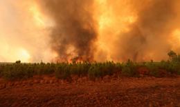 Pháp: Cháy lớn thiêu rụi 6.800ha rừng, hơn 10.000 người phải đi sơ tán
