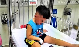 Chuyên gia cảnh báo cha mẹ qua vụ bé trai 3 tuổi bị siết cổ, giấu vào tủ cấp đông
