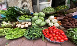 Giá thực phẩm, rau xanh bắt đầu giảm 'nhỏ giọt'
