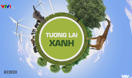Giữ gìn và bảo vệ môi trường, hướng đến một tương lai xanh