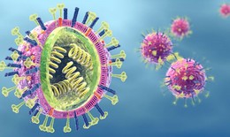 Cách đặt tên cúm và vai trò dự phòng của vaccine cúm hiện nay