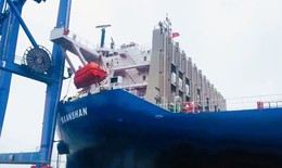 Hải Phòng: Trụ cần cẩu Cảng Đình Vũ tạm dừng hoạt động sau cú va của tàu nước ngoài