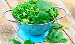 5 loại rau lá xanh tốt nhất giúp giảm mỡ bụng và làm chậm lão hóa
