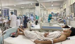 TP.HCM đã có 18 ca tử vong do sốt xuất huyết