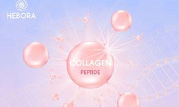 Sự thật cần biết về collagen trước khi sử dụng