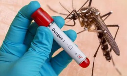 Đã có hơn 179.000 ca sốt xuất huyết, 70 trường hợp tử vong: 10 dấu hiệu nguy hiểm của bệnh cần lưu ý