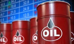 Giá dầu giảm xuống mức thấp nhất gần 6 tháng