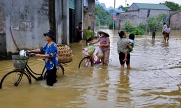 Hình ảnh ngập lụt ở Chương Mỹ, Hà Nội như thể miền Trung mùa nước lũ