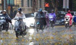 Thời tiết 10/9: Nhiều tỉnh, thành đón Tết Trung thu trong mưa rào và dông
