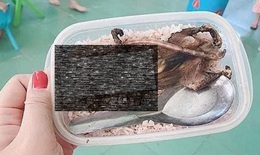 X&#244;n xao bức ảnh hộp cơm với thịt chuột của học sinh v&#249;ng cao, Ph&#242;ng Gi&#225;o dục n&#243;i g&#236;?