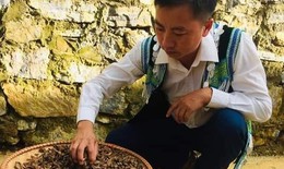 Chàng trai người Mông phát huy bài thuốc gia truyền cứu bệnh nhân nghèo