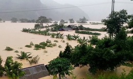 Chủ động phòng ngừa, ứng phó, khắc phục nhanh hậu quả thiên tai