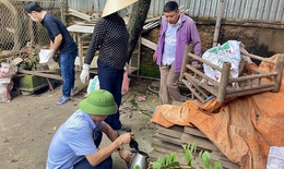 Dự báo: Sốt xuất huyết tại Hà Nội tiếp tục gia tăng, nguy cơ cao thành dịch lớn