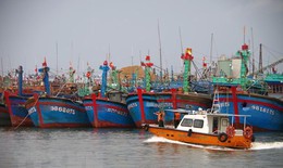 Các tỉnh, thành từ Quảng Ninh đến Bình Thuận chủ động ứng phó bão Noru