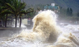 Chuyên gia nói về sức tàn phá của cơn bão Noru