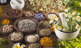 5 loại 'thảo mộc hạnh phúc' giúp tâm trí bình an