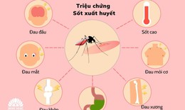 Bài thuốc sắc điều trị sốt xuất huyết
