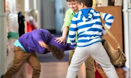 Chuyên gia đưa ‘kế sách’ giải quyết vấn nạn bạo lực học đường